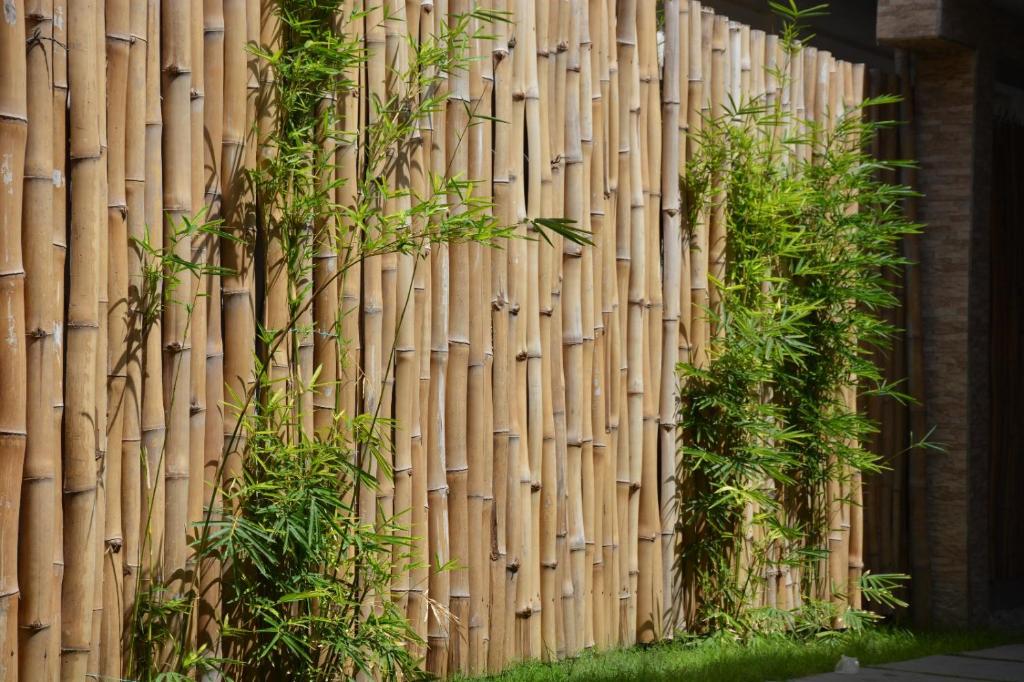 Lome Bamboo Lodge