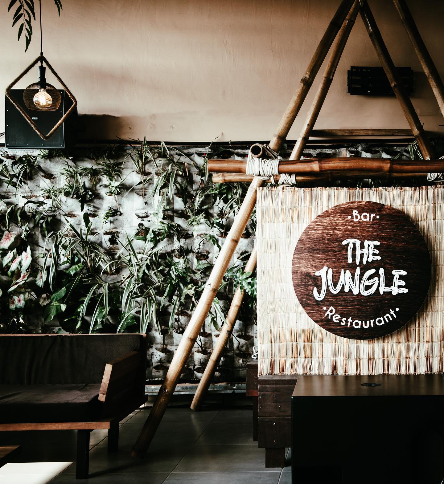 The Jungle